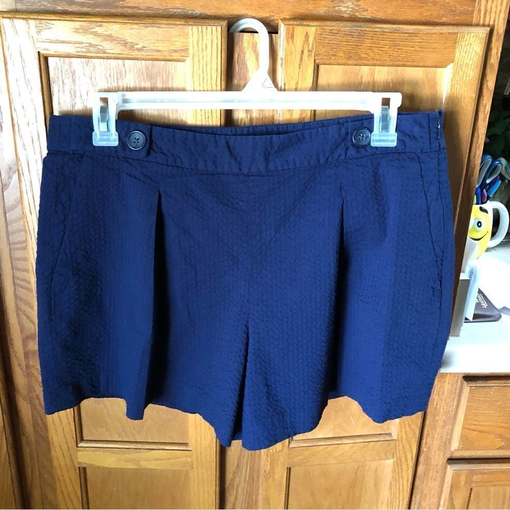 Navy Textured Pleat Front Women’s Shorts